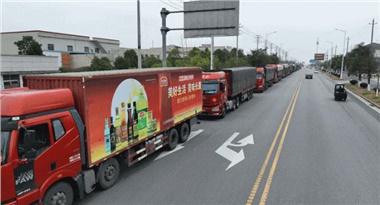 馬年“開門紅”！長康集團(tuán)首日訂單額突破3000萬元